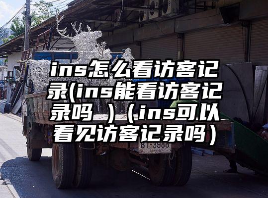 ins怎么看访客记录(ins能看访客记录吗 )（ins可以看见访客记录吗）
