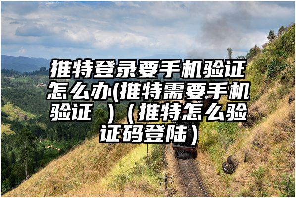 推特登录要手机验证怎么办(推特需要手机验证 )（推特怎么验证码登陆）