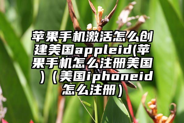 苹果手机激活怎么创建美国appleid(苹果手机怎么注册美国 )（美国iphoneid怎么注册）