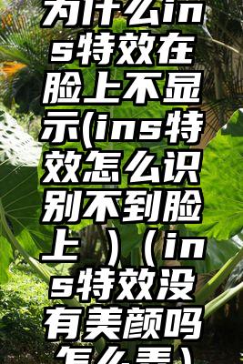为什么ins特效在脸上不显示(ins特效怎么识别不到脸上 )（ins特效没有美颜吗怎么弄）