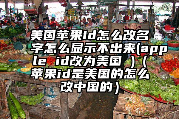 美国苹果id怎么改名字怎么显示不出来(apple id改为美国 )（苹果id是美国的怎么改中国的）