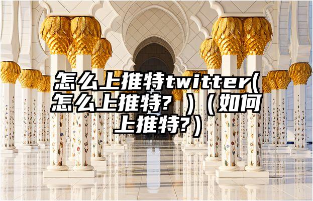 怎么上推特twitter(怎么上推特? )(如何上推特?)