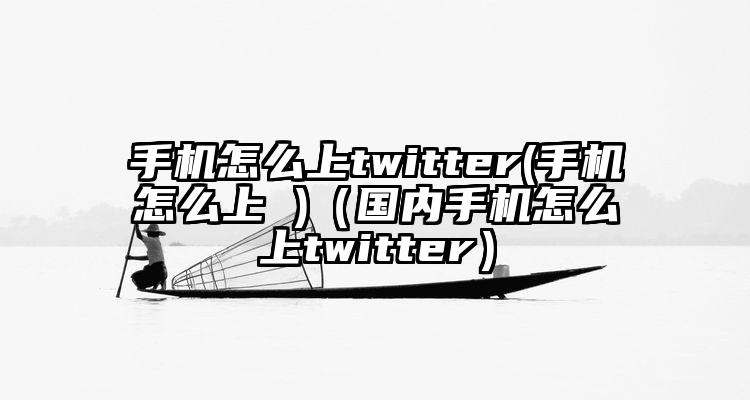 手机怎么上twitter(手机怎么上 )（国内手机怎么上twitter）