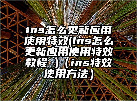 ins怎么更新应用使用特效(ins怎么更新应用使用特效教程 )（ins特效使用方法）