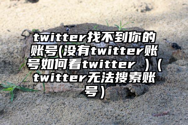twitter找不到你的账号(没有twitter账号如何看twitter )（twitter无法搜索账号）