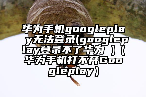 华为手机googleplay无法登录(googleplay登录不了华为 )（华为手机打不开Googleplay）