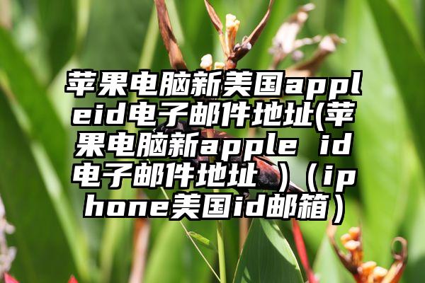 苹果电脑新美国appleid电子邮件地址(苹果电脑新apple id电子邮件地址 )（iphone美国id邮箱）