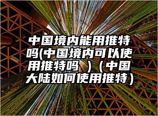 中国境内能用推特吗(中国境内可以使用推特吗 )（中国大陆如何使用推特）