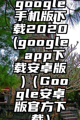 google手机版下载2020(google app下载安卓版 )（Google安卓版官方下载）