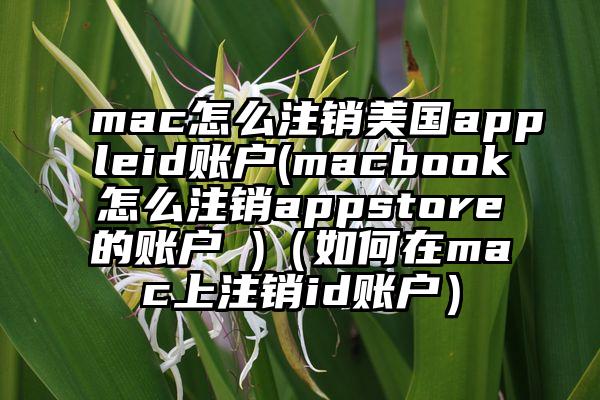 mac怎么注销美国appleid账户(macbook怎么注销appstore的账户 )（如何在mac上注销id账户）