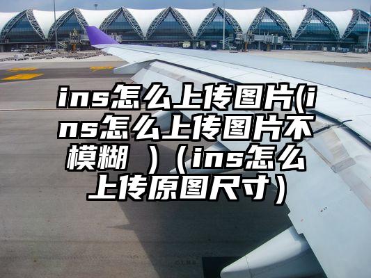 ins怎么上传图片(ins怎么上传图片不模糊 )（ins怎么上传原图尺寸）