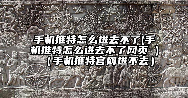 手机推特怎么进去不了(手机推特怎么进去不了网页 )（手机推特官网进不去）