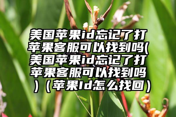 美国苹果id忘记了打苹果客服可以找到吗(美国苹果id忘记了打苹果客服可以找到吗 )（苹果Id怎么找回）
