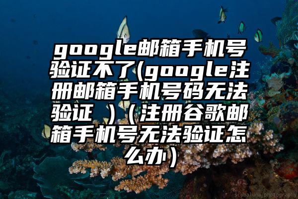 google邮箱手机号验证不了(google注册邮箱手机号码无法验证 )（注册谷歌邮箱手机号无法验证怎么办）