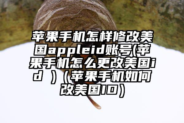 苹果手机怎样修改美国appleid账号(苹果手机怎么更改美国id )（苹果手机如何改美国ID）