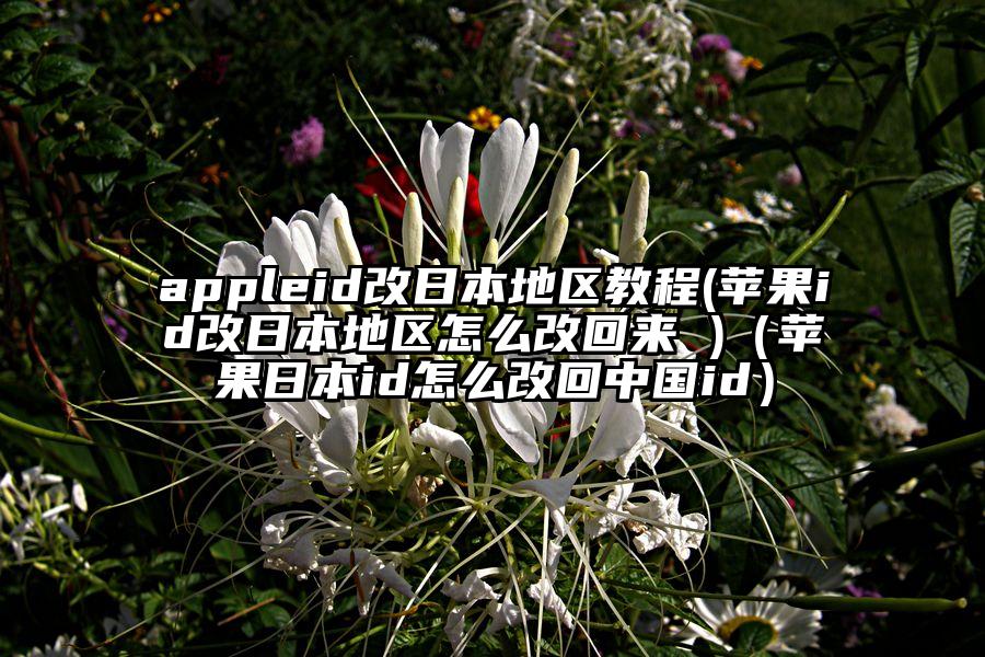 appleid改日本地区教程(苹果id改日本地区怎么改回来 )（苹果日本id怎么改回中国id）