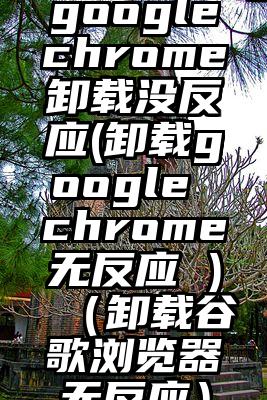 googlechrome卸载没反应(卸载google chrome无反应 )（卸载谷歌浏览器无反应）