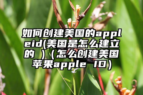 如何创建美国的appleid(美国是怎么建立的 )（怎么创建美国苹果apple ID）