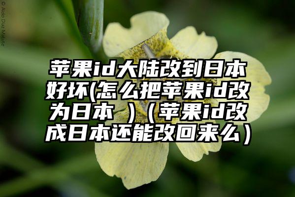 苹果id大陆改到日本好坏(怎么把苹果id改为日本 )（苹果id改成日本还能改回来么）