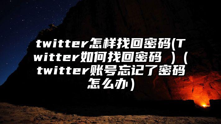 twitter怎样找回密码(Twitter如何找回密码 )（twitter账号忘记了密码怎么办）