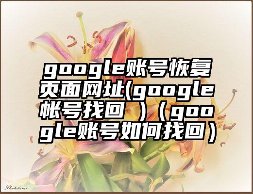google账号恢复页面网址(google帐号找回 )（google账号如何找回）