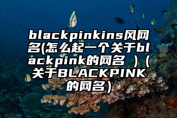 blackpinkins风网名(怎么起一个关于blackpink的网名 )（关于BLACKPINK的网名）