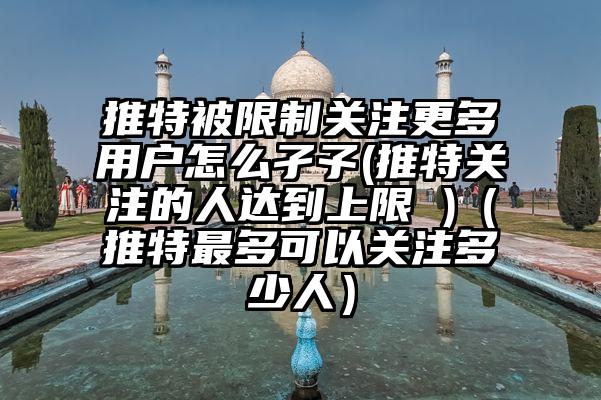 推特被限制关注更多用户怎么孑孓(推特关注的人达到上限 )（推特最多可以关注多少人）