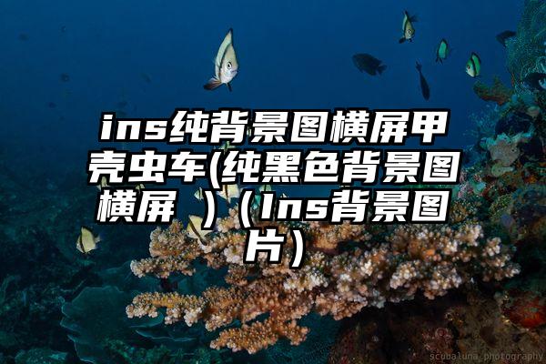ins纯背景图横屏甲壳虫车(纯黑色背景图横屏 )（Ins背景图片）