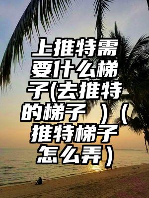 上推特需要什么梯子(去推特的梯子 )（推特梯子怎么弄）