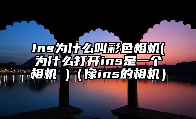 ins为什么叫彩色相机(为什么打开ins是一个相机 )（像ins的相机）