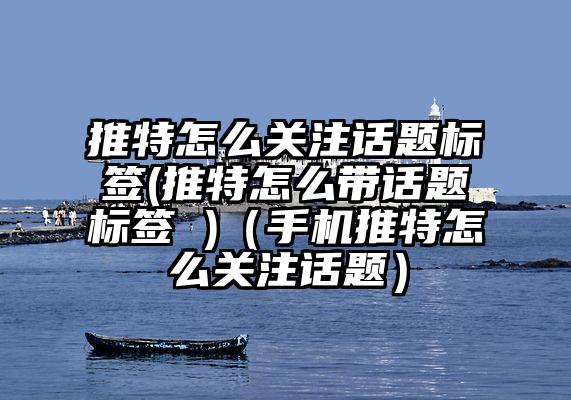 推特怎么关注话题标签(推特怎么带话题标签 )（手机推特怎么关注话题）