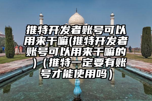 推特开发者账号可以用来干嘛(推特开发者账号可以用来干嘛的 )（推特一定要有账号才能使用吗）