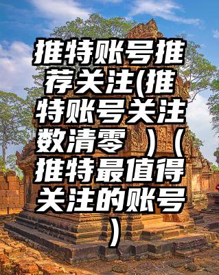 推特账号推荐关注(推特账号关注数清零 )（推特最值得关注的账号）
