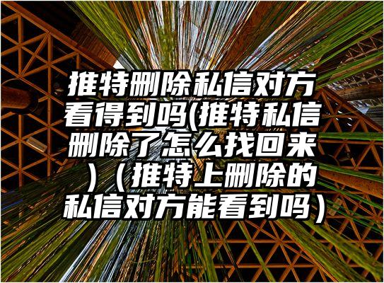 推特删除私信对方看得到吗(推特私信删除了怎么找回来 )（推特上删除的私信对方能看到吗）