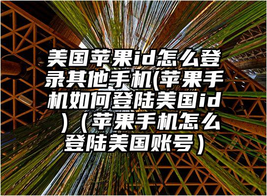 美国苹果id怎么登录其他手机(苹果手机如何登陆美国id )（苹果手机怎么登陆美国账号）