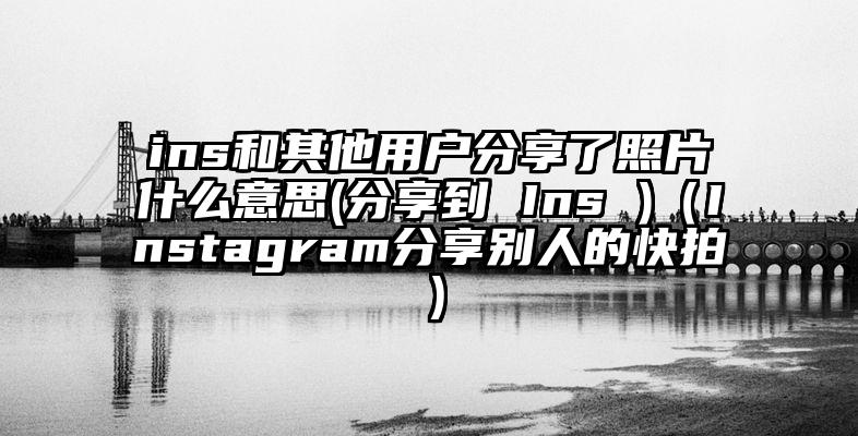 ins和其他用户分享了照片什么意思(分享到 Ins )（Instagram分享别人的快拍）