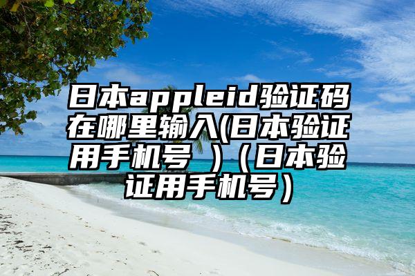 日本appleid验证码在哪里输入(日本验证用手机号 )（日本验证用手机号）