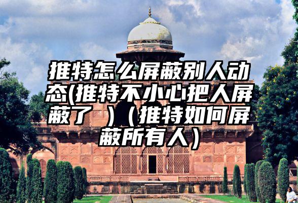 推特怎么屏蔽别人动态(推特不小心把人屏蔽了 )（推特如何屏蔽所有人）