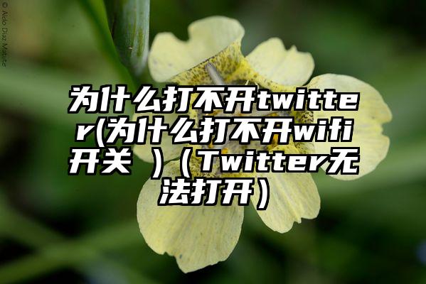 为什么打不开twitter(为什么打不开wifi开关 )（Twitter无法打开）