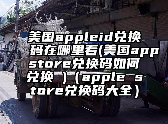 美国appleid兑换码在哪里看(美国appstore兑换码如何兑换 )（apple store兑换码大全）