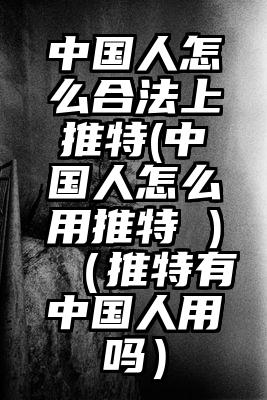 中国人怎么合法上推特(中国人怎么用推特 )（推特有中国人用吗）