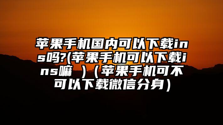 苹果手机国内可以下载ins吗?(苹果手机可以下载ins嘛 )（苹果手机可不可以下载微信分身）