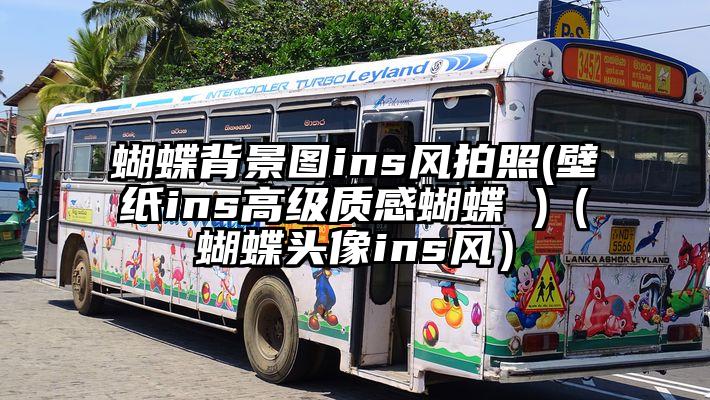 蝴蝶背景图ins风拍照(壁纸ins高级质感蝴蝶 )（蝴蝶头像ins风）