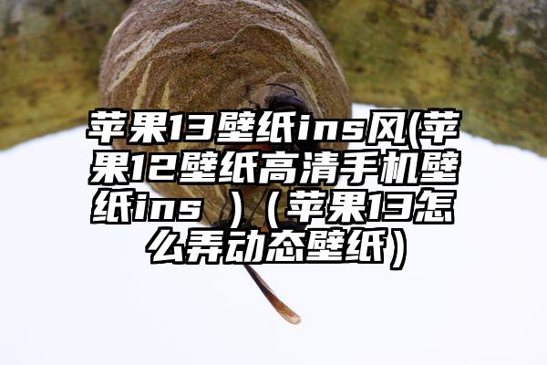 苹果13壁纸ins风(苹果12壁纸高清手机壁纸ins )（苹果13怎么弄动态壁纸）