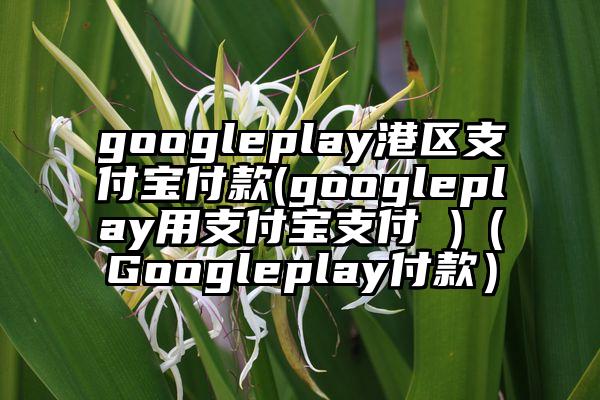 googleplay港区支付宝付款(googleplay用支付宝支付 )（Googleplay付款）