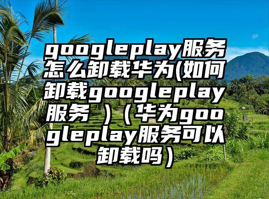 googleplay服务怎么卸载华为(如何卸载googleplay服务 )（华为googleplay服务可以卸载吗）