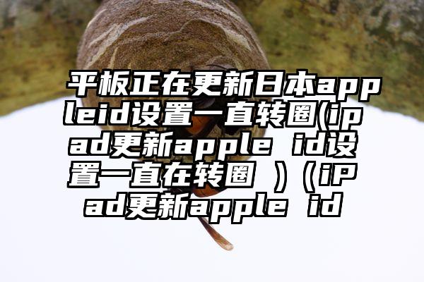平板正在更新日本appleid设置一直转圈(ipad更新apple id设置一直在转圈 )（iPad更新apple id