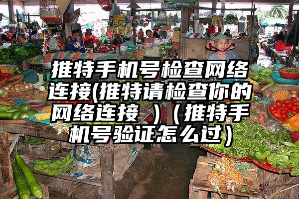 推特手机号检查网络连接(推特请检查你的网络连接 )（推特手机号验证怎么过）