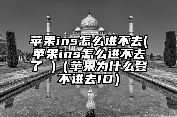 苹果ins怎么进不去(苹果ins怎么进不去了 )（苹果为什么登不进去ID）
