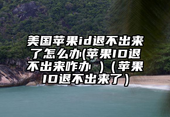 美国苹果id退不出来了怎么办(苹果ID退不出来咋办 )（苹果ID退不出来了）
